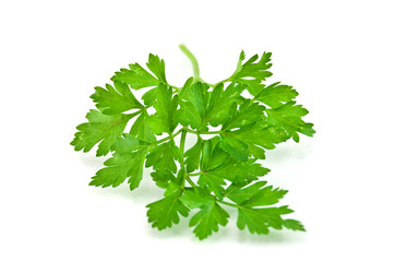 Fresh Parsley