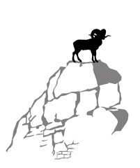 mountain ram silhouette on white background