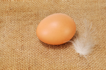 one yellow egg