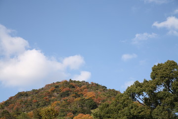 秋の里山と空