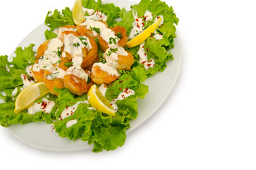 Chicken piecies on the plate