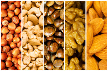 Selection of various food backgrounds