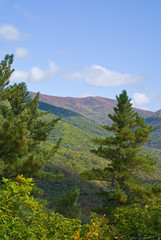 Early autumn in taiga 5