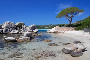 Deurstickers Palombaggia strand, Corsica Strand van Palombaggia