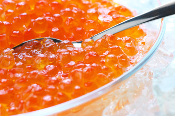 Salmon caviar in ice