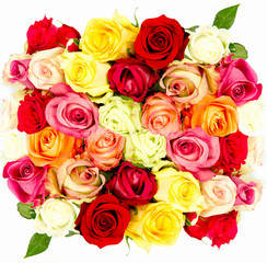 colorful roses, beautiful flower bouquet on white background