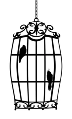 Papier Peint photo Lavable Oiseaux en cages Deux oiseaux en cage isolated on white