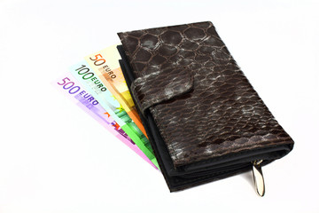 wallet and money