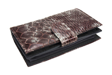 wallet,isolated