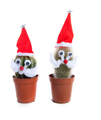 funny decorated cactus plants for christmas