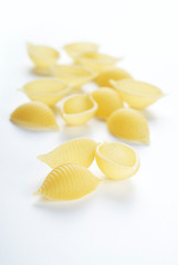 Pasta shells