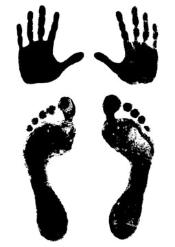 hands and feet print