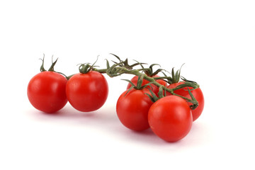 Strauchtomaten