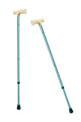 Obraz premium walking stick