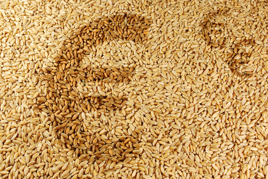 Markt für Agrarrohstoffe - Euro-Zeichen auf Weizen