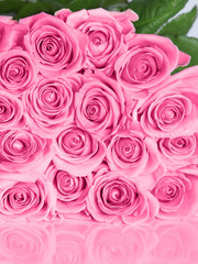 Pink roses bouquet