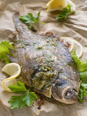 baked fish