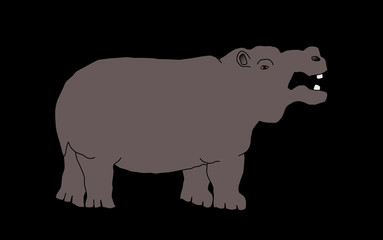 wild animal - hippo, vector