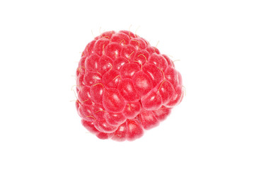 raspberry