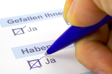 Meinungsumfrage
