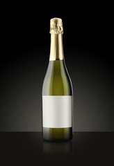 Sparkling White Wine Bottle, Champagne bottle
