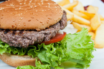 American cheese burger