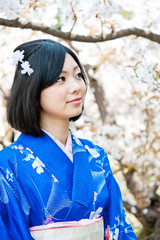 japanese kimono woman and cherry blossom