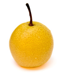 snow pear
