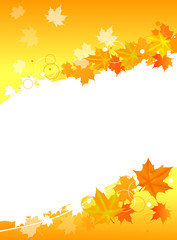 bright autumn maple foliage pattern
