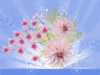 bunch of pink orchids on blue curled background