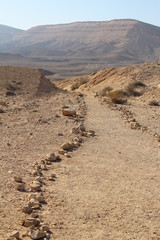 Fototapeta na wymiar A desert road at the grand canyon, Israel