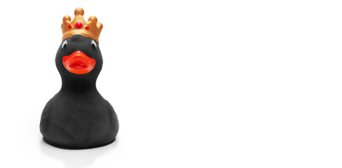 Crowned black rubber duck