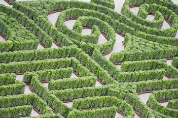 Hedge labyrinth