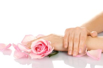 Obraz na płótnie Canvas Różowa róża z rękami na białym tle