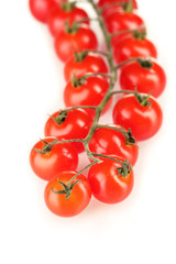 Beautiful cherry tomatoes on a branch isolated on white