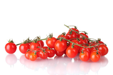 Beautiful cherry tomatoes on a branch isolated on white