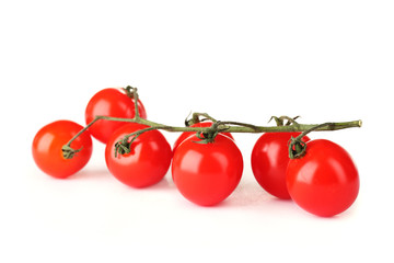 Beautiful cherry tomatoes on a branch isolated on white