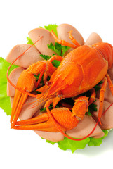 Red crayfish on saucer.