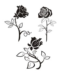 Rose silhouette