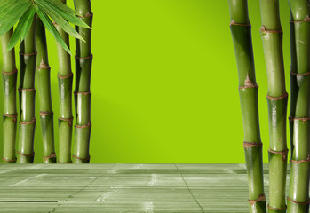 Young, green bamboo in the background boke