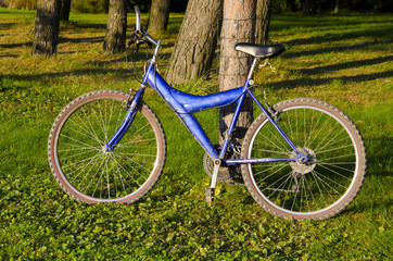 bicycle in the forest