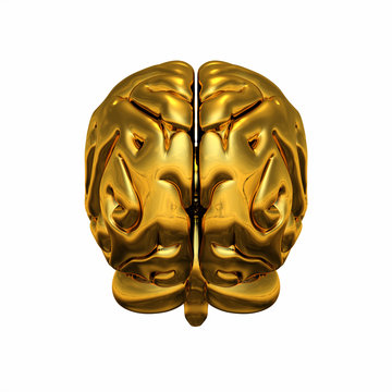 Gold Brain - R&uuml;ckansicht