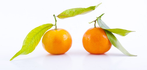 mandarins