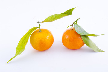 mandarins
