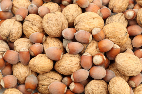 Walnuts and hazelnuts closeup