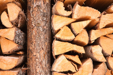 Firewood stacked in a pile