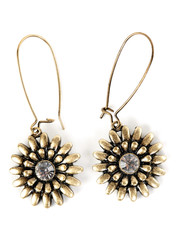 a pair of women's earrings with precious stone