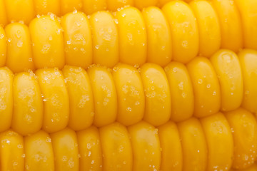 boiled corn with salt closeup