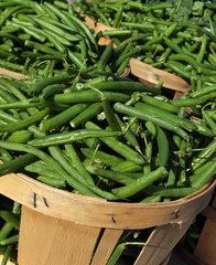 Green Beans In Bushels