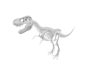 Dinosaur skeleton